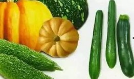 夏日树下吃瓜,瓜香四溢的悠闲时光