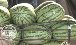 天天吃瓜网,天天吃瓜网带你领略明星幕后故事