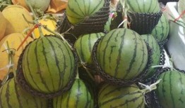 小纯吃瓜,揭秘娱乐圈那些不为人知的幕后故事