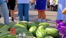 学校经常吃的瓜,揭秘校园里的那些“热门”八卦