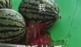 吃瓜塌房子,揭秘娱乐圈背后的真相与风波