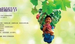 收稻谷吃瓜