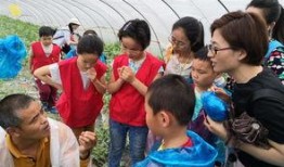 小记者吃瓜大赛,舌尖上的新闻盛宴