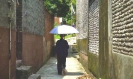 家乡吃瓜群众事件,一场全民参与的舆论风暴