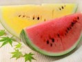 带你们吃高等瓜