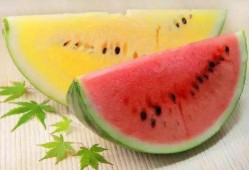 带你们吃高等瓜