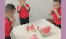 吃瓜挑战看谁吃的快,吃瓜挑战，看谁瓜吞得最快！