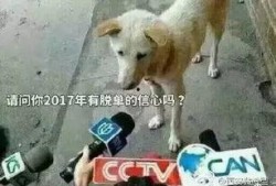 卧槽吃瓜视频下载,揭秘热门事件背后的真相