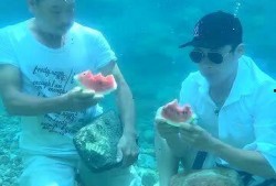 水下呼吸吃瓜,揭秘水下呼吸与吃瓜的奇妙体验