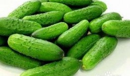 吃黃瓜的好处,润泽肌肤、清热解毒的天然佳品