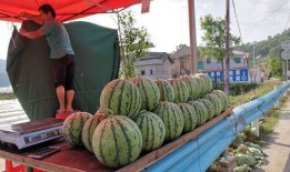 运城吃瓜曝光事件,网络舆论下的真相与反思