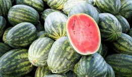 全球吃瓜落,揭秘各国美食文化盛宴