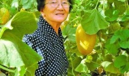 陈美娇吃瓜,揭秘娱乐圈幕后真相