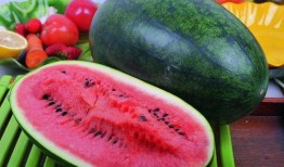 发育吃瓜,探究植物发育过程中的奇妙吃瓜之旅