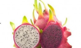 长期吃瓜群,揭秘长期吃瓜群的趣味与智慧