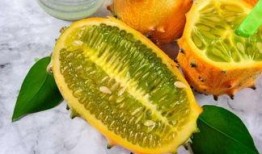 小太阳瓜怎么吃,解锁美味新体验