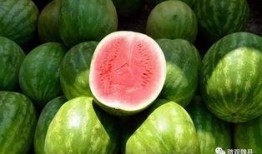 魏县学校吃瓜,一场校园里的甜蜜风波