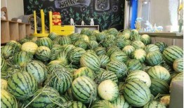 怎么做吃瓜观众,掌握观战技巧