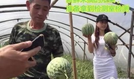 桥洞下吃瓜直播,揭秘网络直播的另类魅力