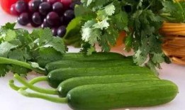 天天吃别人的瓜