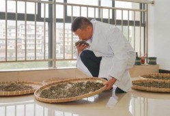 普洱学院事件吃瓜,揭秘校园风波背后的真相与反思