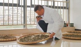 普洱学院事件吃瓜,揭秘校园风波背后的真相与反思