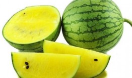 吃瓜黄料最新,最新热点事件深度剖析