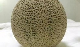 饭后吃蜜瓜,饭后享用，尽享健康美味时光