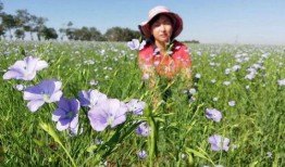 夏日吃瓜矮墙,吃瓜矮墙下的悠闲时光