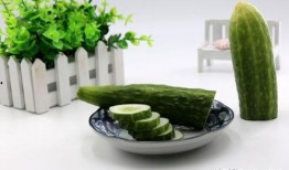 吃中药能吃黃瓜嗎,食用搭配的注意事项