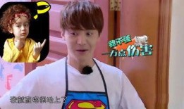 娱乐吃瓜酱家暴,真相与反思