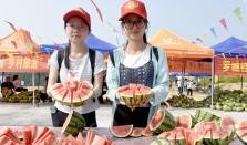 广西校园吃瓜君,揭秘校园热点事件背后的真相