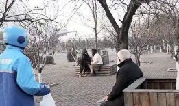 大爷树下吃瓜,大爷悠闲时光的温馨写照