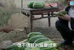 吃瓜遇见,揭秘娱乐圈背后的故事