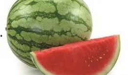 江城在线吃瓜,揭秘网络吃瓜群众的狂欢盛宴