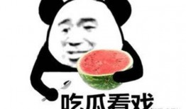 吃瓜降火表情包,揭秘网络表情包中的清凉夏日神器