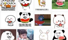 吃瓜吃的明白吗