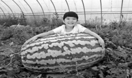 吃瓜老爷,揭秘娱乐圈幕后真相，带你领略明星们的真实生活