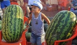 火热吃瓜团698,揭秘娱乐圈背后的秘密与八卦风云