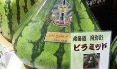 中国吃瓜群众真强大