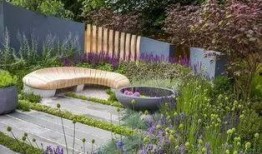 吃瓜小庭院,揭秘庭院里的那些瓜事