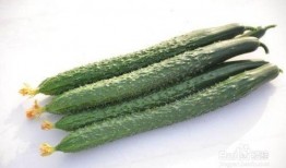 吃黃瓜的好处,润泽肌肤、清热解毒的天然佳品