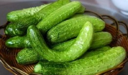 屠芸莹吃瓜,屠芸莹的吃瓜日常