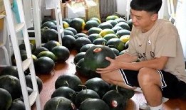 宿舍吃瓜照,揭秘校园生活趣味瞬间