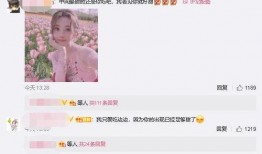 我的吃瓜粉丝小说,揭秘吃瓜粉丝背后的小说世界