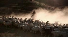 影子转场吃瓜,吃瓜群众见证娱乐圈风云变幻