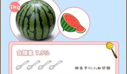 吃瓜请放糖,吃瓜请放糖，探寻美食背后的甜蜜故事