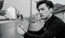 吃瓜胡歌,娱乐圈的瓜王传奇