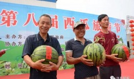 许昌郑州吃瓜,一场吃瓜者的味蕾狂欢之旅