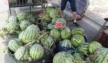 泰州网红吃瓜事件